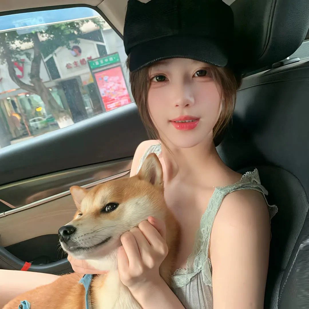 对不起,我磕到你了