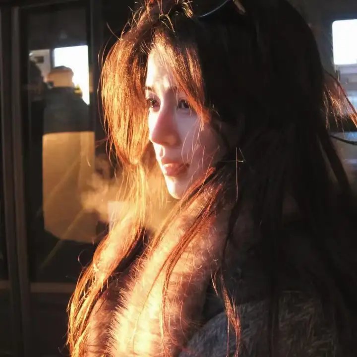 高斯电子公司
